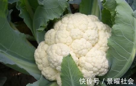 浑身|宁愿不吃,也别去碰3种蔬菜,浑身“堆满”寄生虫,为健康了解下