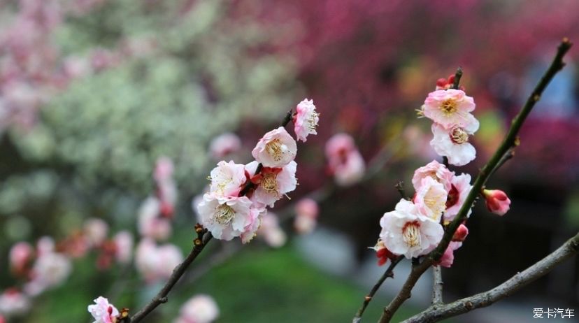 一日穿越四朝，恍若梦回千年