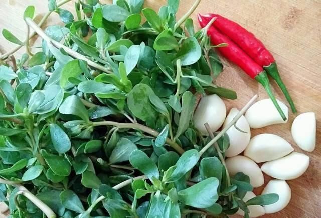 马齿笕|它被称为“药王”,好看又好吃,营养价值高,现在知道还不晚