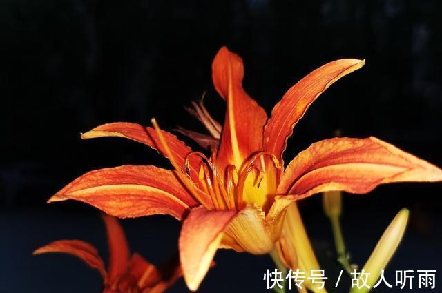 众人&聊斋故事:母神