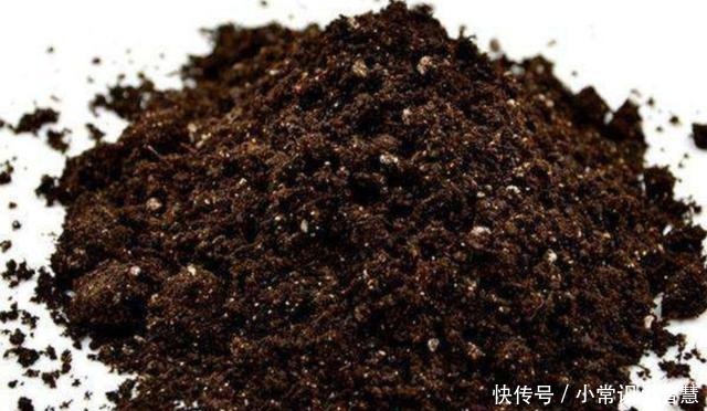 在家制作营养土,加上3种“废弃物”,松软透气、营养成分多!