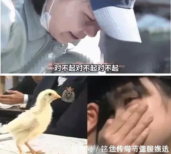 孩子|日本最“变态”的生命课亲自养,亲手杀,亲口吃,孩子崩溃大哭