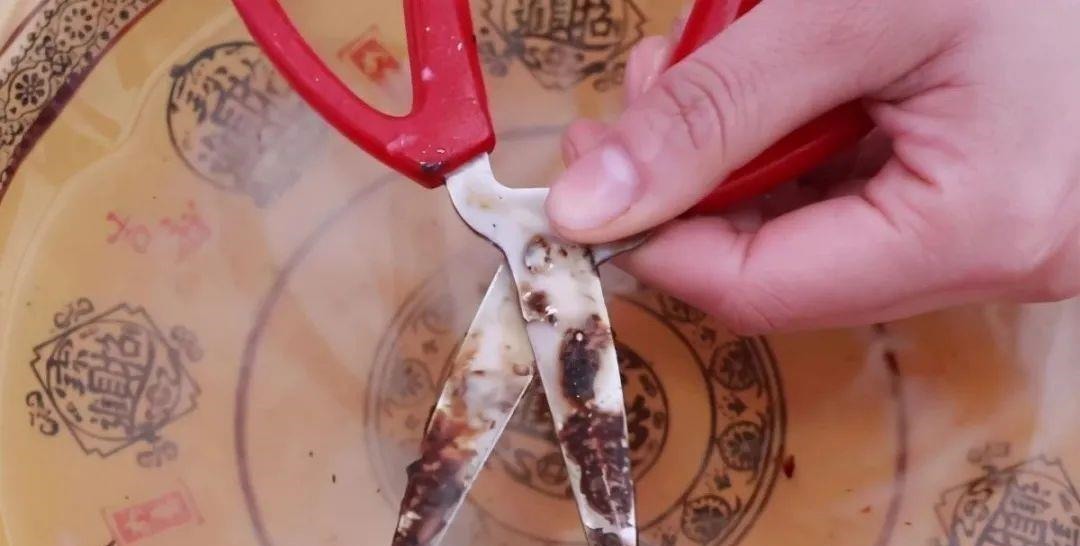 剪刀不管多钝都不要扔，教你一招，剪刀立马锋利如新，简单又实用