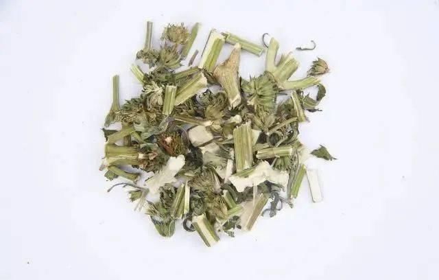 黄芪和它一起泡,清热解毒,还能预防衰老,适合夏季喝