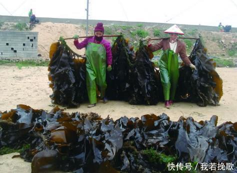  食物|无论男女，40岁后想要长寿，常吃以下5种食物，可健健康康每一天