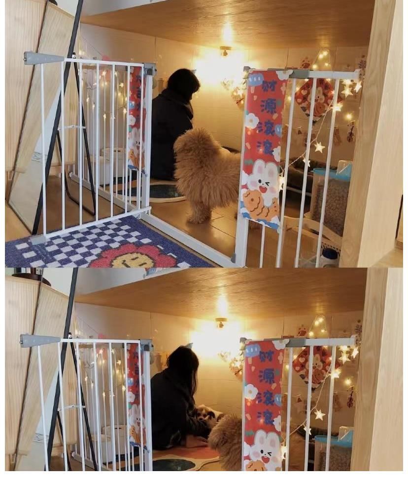 狗狗|30㎡小户型，客餐厨全都有，还有独立的狗狗房，1平米当2平米用