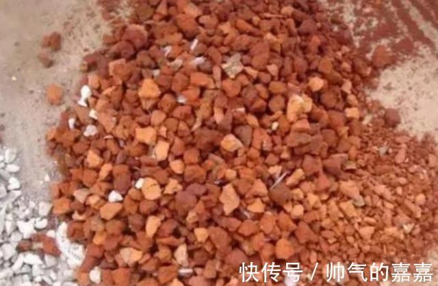 给花卉换盆，多做1个“小动作”，避免出现烂根黄叶