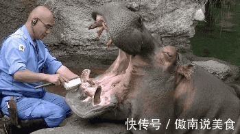 |搞笑GIF:单身久了真可怕 看什么都觉得在看美女