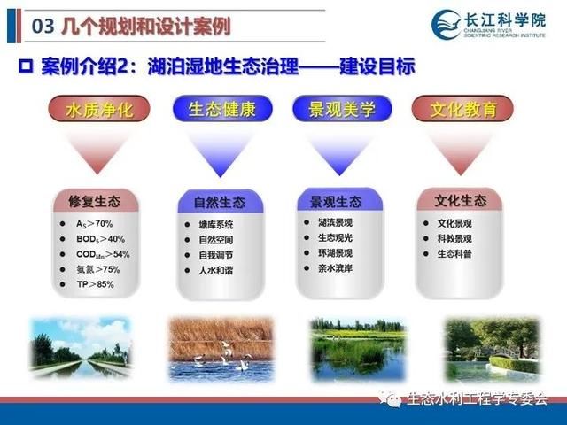河流|「专家视角」许继军：河流生态修复理念、技术与实践