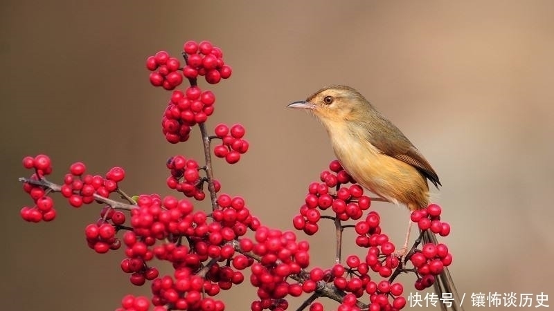 诗人#清风明月正宜人,足以慰风尘,七首唯美宋诗,忘却烦恼只留星辰