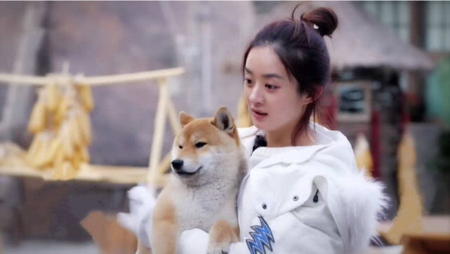 《向往的生活》中的小瓢终于被领养,节目大喜事