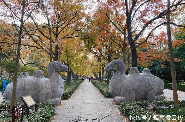 南京|游客的疑惑南京明明是“江南城市”，可为什么让人感觉像北方