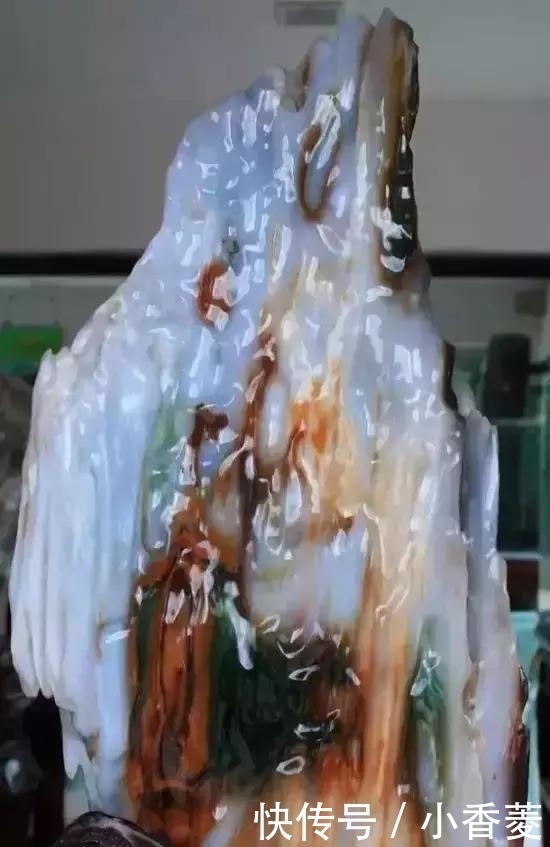 虫子|2亿年前的五条虫子 与大树一起变成了玉石!