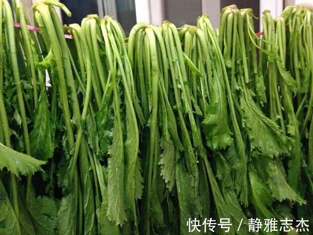 白菜韭菜靠边站，这菜包饺子最香，常食改善视力，增强免疫力