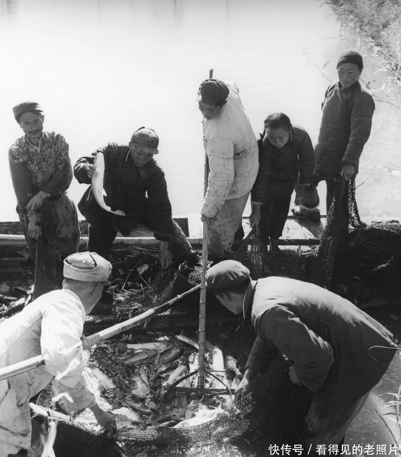 渔民对渔获物进行分类。