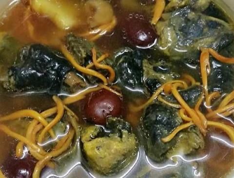 用什么肉和其他的食材炖出来的汤最好喝？