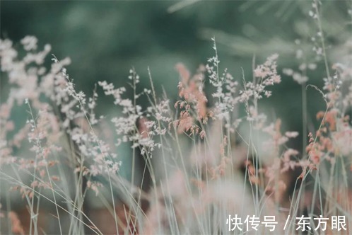 淡然|真正的幸福，就是一杯“白开水”