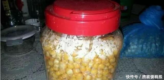 老玉米这样处理,一粒玉米一条鱼,还真不算什么难事!