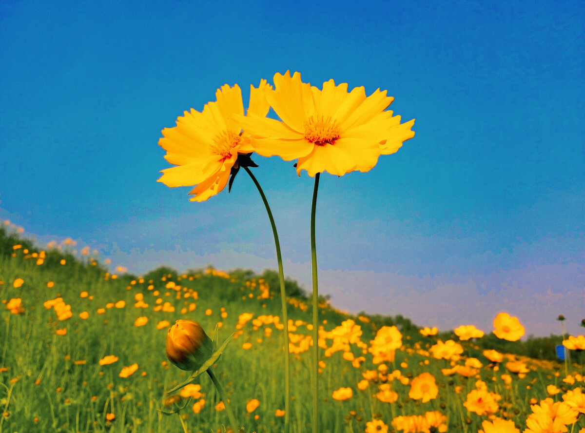 晴风|人到中年,最好的养生是善忘