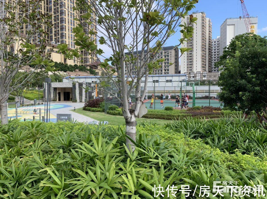 楼盘|想看深圳龙华区楼盘的最新现场实景，选房一定要看