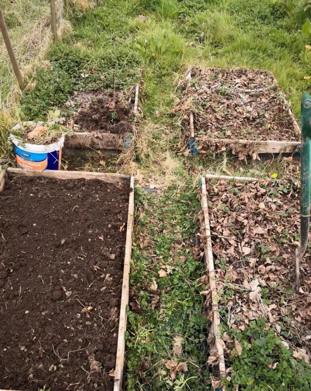 等我老了以后,找个小院陪你养花种菜!