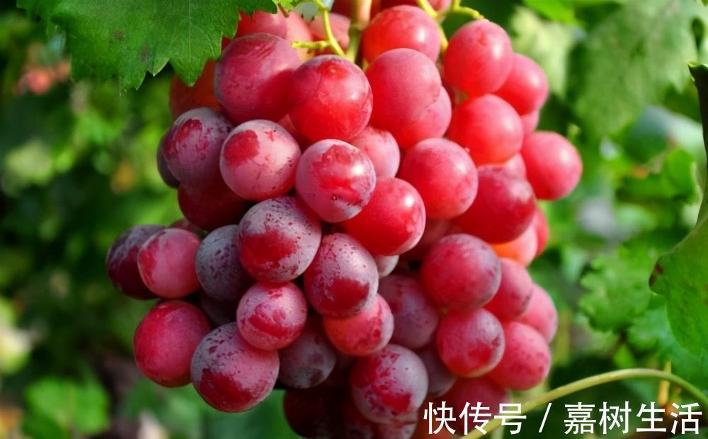 健康食品|女性不愿老太快,要多吃3种食物,排毒养颜,看起来更显年轻态