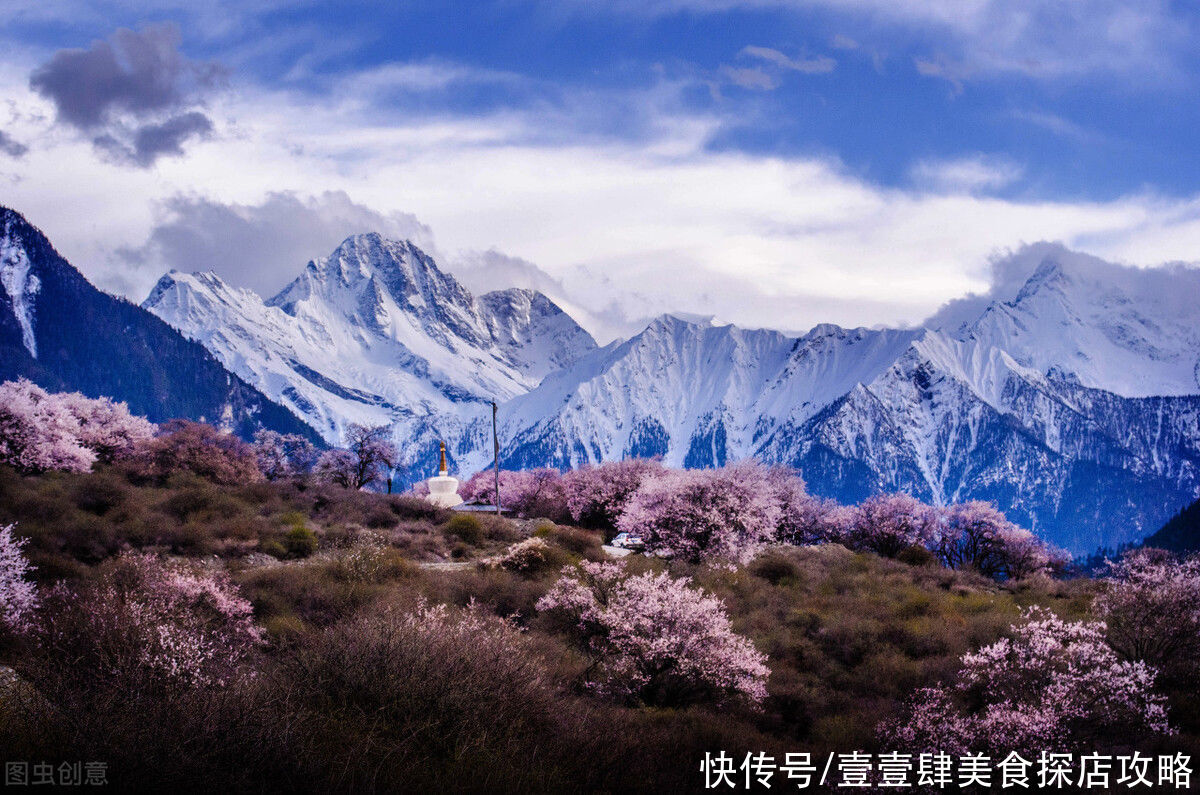 雅鲁藏布大峡谷|藏在雅鲁藏布雪域樱花美景，完爆云南无量山，十里水上画廊多闪烁