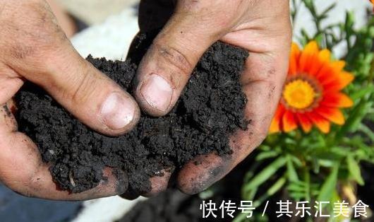 盆土板结怎么办,做好这些,盆土常年松软,盆栽长的旺不黄叶