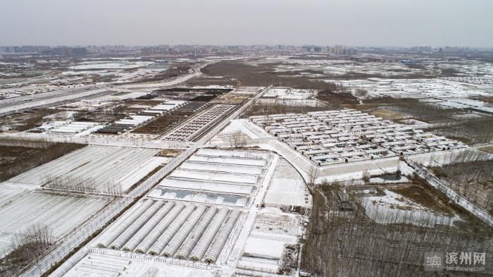 白雪拂黄河 星景熙朔风 滨州这里的绝美雪景，爱了！