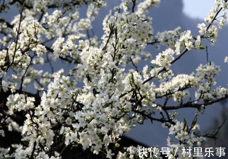 在职场|这三个生肖的男人，在外大男人在家怕老婆，典型的妻管严