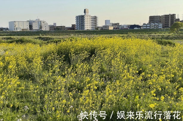 水瓶座|未来6天，笑逐颜开，朋友却很多，真心诉说，升职加薪，生活惬意