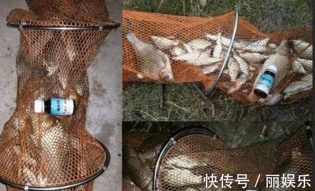 饵料|世上最牛的钓鱼饵料,不是蚯蚓!厨房一小物,新手也能获鱼100斤