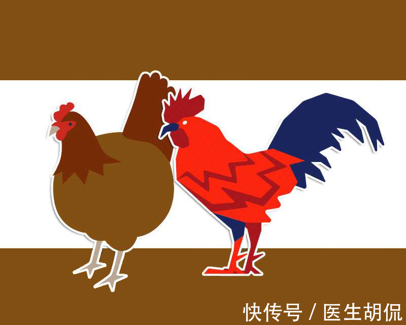 羊肉|大雪来进补,明年可打虎!冬季常吃这5种,滋补气血,强身健体