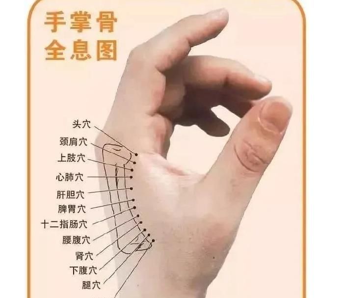  免费|40个常见病穴位按摩大全，免费送给你，百万人收藏