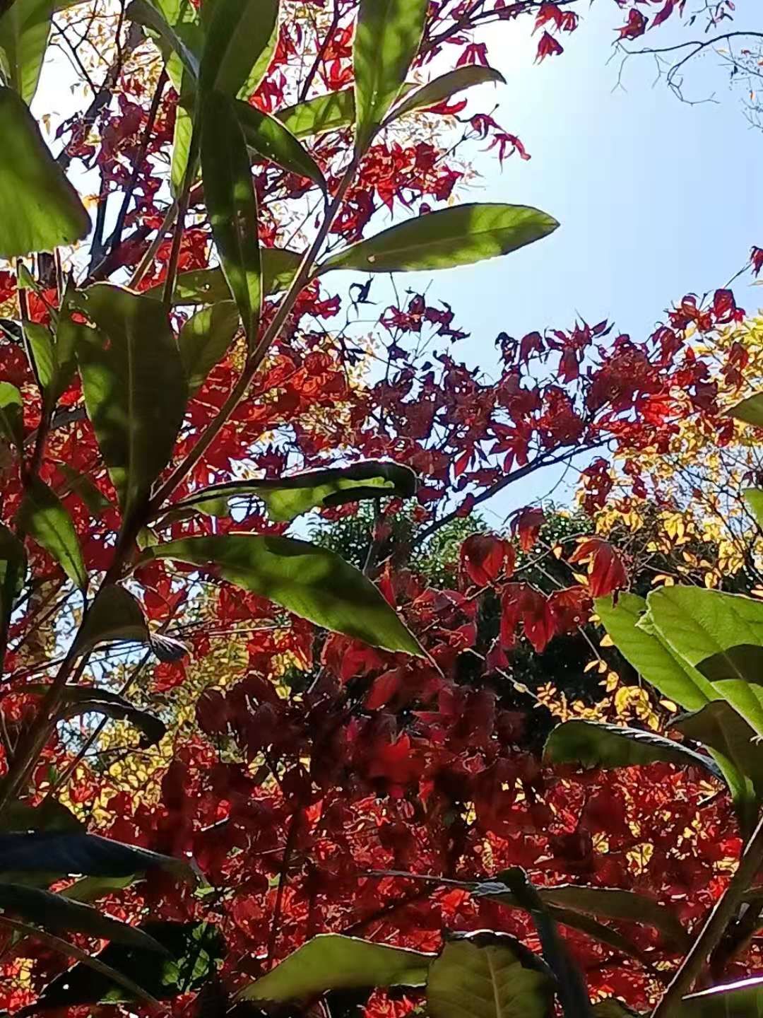  鸿沟|层次与境界，是人与人之间，不可逾越的鸿沟