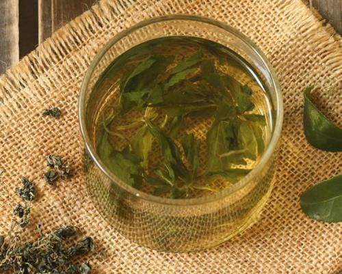 丁香油酚|胃不好的人,坚持用以下东西泡水喝,胃越来越好,胃病不来扰