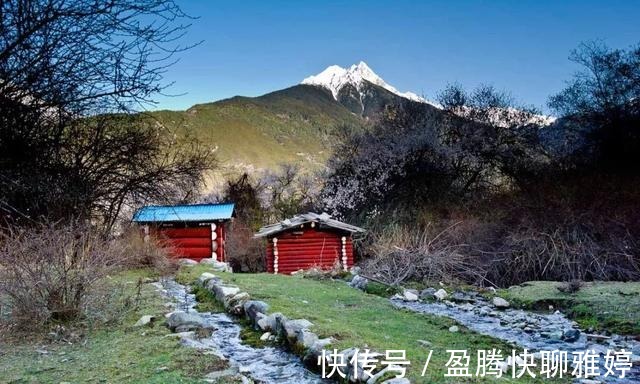 林芝|沿着318，去波密，寻找云端上的桃花源，看全世界最美的桃花