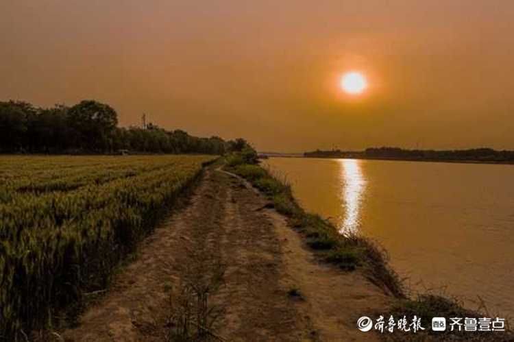 这里的落日真美！济南黄河夕阳西下绚彩多姿，红霞飞满天|情报站| 济南