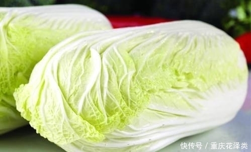 买白菜时，选白色的还是绿色的大厨教你这3点，就不会买错了