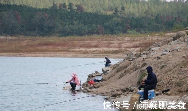 穿透力|蓝鲫加鸡蛋，冬钓鲫鱼口不断！加了“营养”的饵料真的能爆连吗