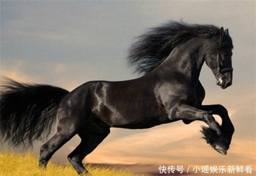 92岁老人无子女,自己花26万建“活人墓”,在墓中设置重重机关!