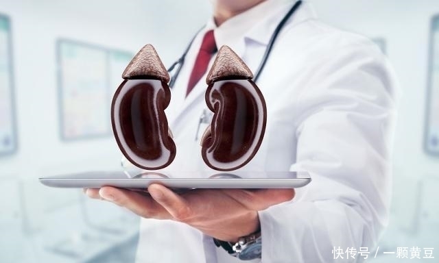 内行|男人补肾,外行爱鹿茸,内行却喜欢“它”