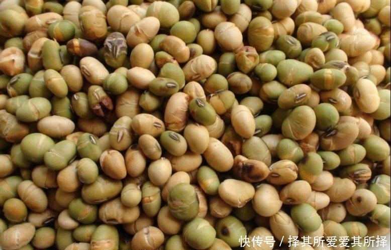 土里蹦出来的小吃,你吃过没?