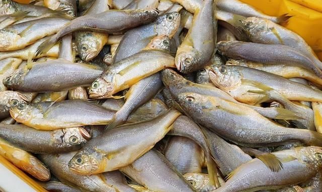 鱼贩子|含“寄生虫”最多的3种鱼,没营养还贵,鱼贩子从不给家人吃