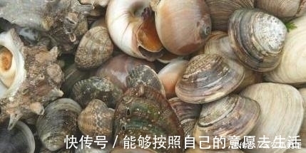 沙子|想要吃美味的花蛤, 去沙得干净, 一颗铁钉就能够让花蛤乖乖吐沙