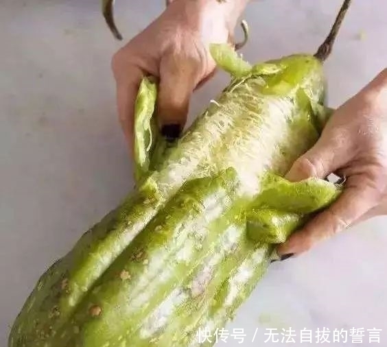 丝瓜络|花盆里加点这个,10年不用换盆,花儿越开越旺!