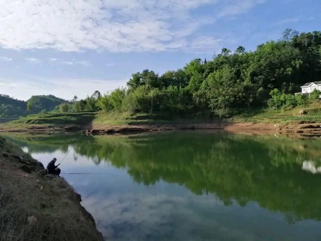 惊蛰过后、遇到这几种天气，请假也要去钓鱼，大鲫鱼排队咬钩