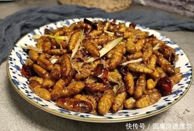蚕蛹|大爷早市卖它，没人识货，10元一斤我直接包圆，吃后才知道赚大了