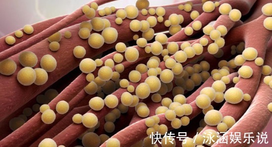 卫生巾|14岁少女使用卫生棉,却意外身亡,专家家长都不教怎么用