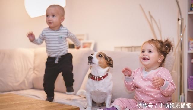 黄金比例|想知道孩子会不会是高个子，看这4个方面就知道了，占2个也不错